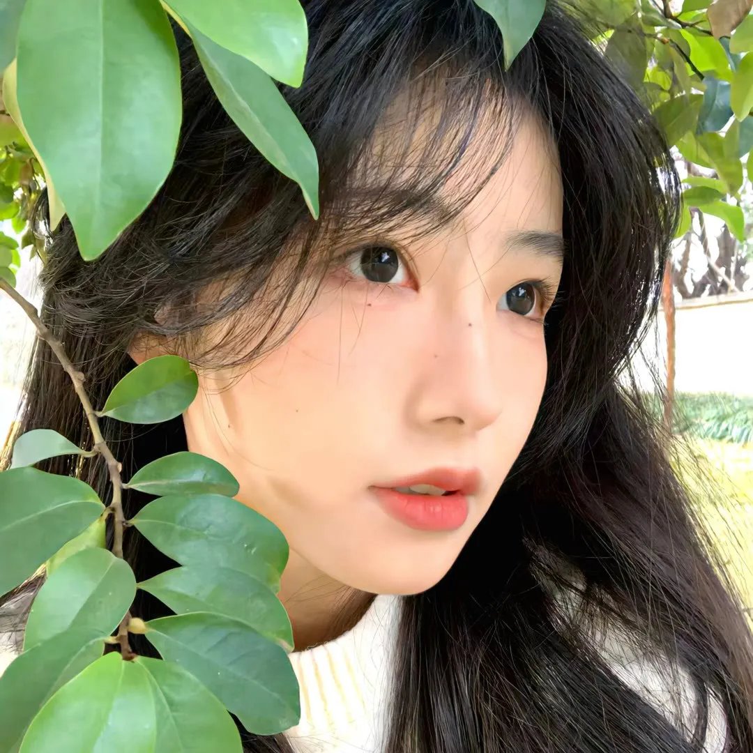 蛮花清果封面